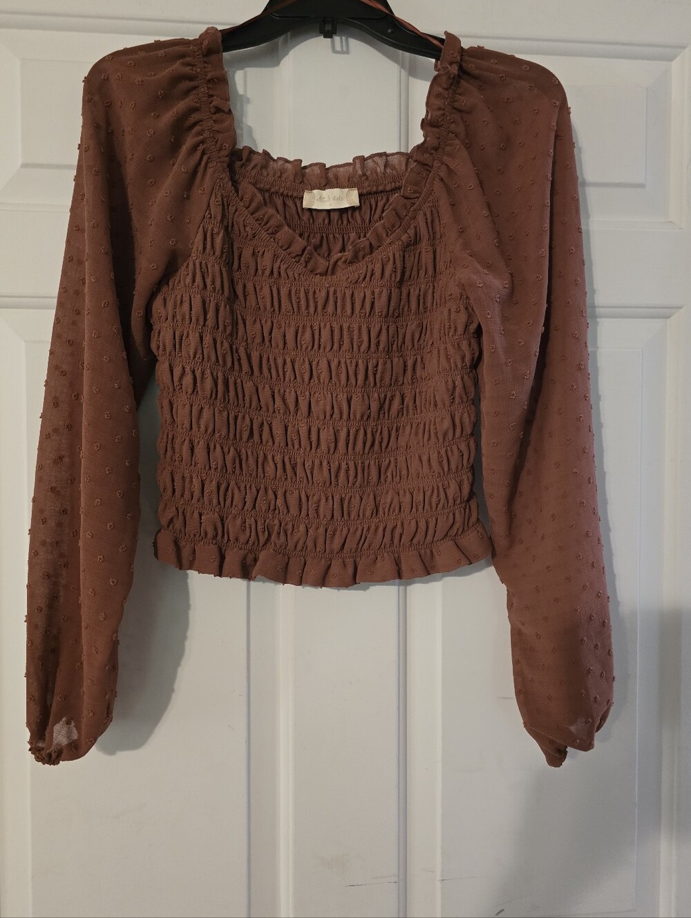 Altar'd State Smocked Long Sleeve Crop Top - Rust